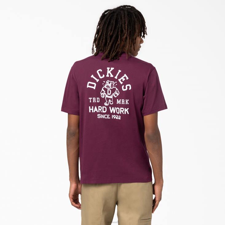 Heren Dickies Cleveland grafisch T-shirt met korte mouwen druivenwijn (gw9) kleding 6F0X847