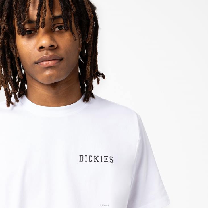 Heren Dickies Cleveland grafisch T-shirt met korte mouwen wit (wh) kleding 6F0X849