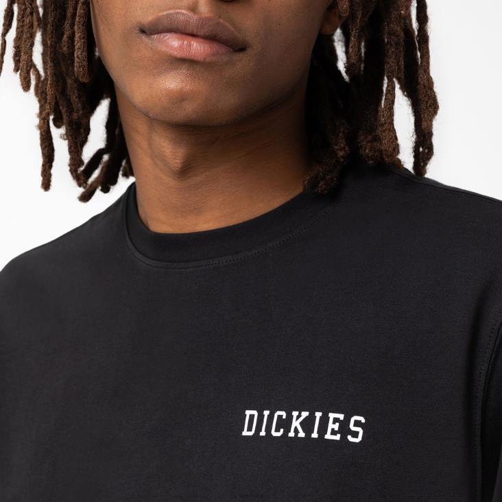 Heren Dickies Cleveland grafisch T-shirt met korte mouwen zwart (kbk) kleding 6F0X848