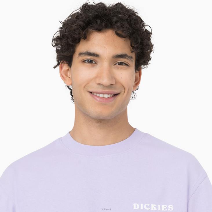 Heren Dickies Oatfield T-shirt met korte mouwen paarse roos (ur2) kleding 6F0X756
