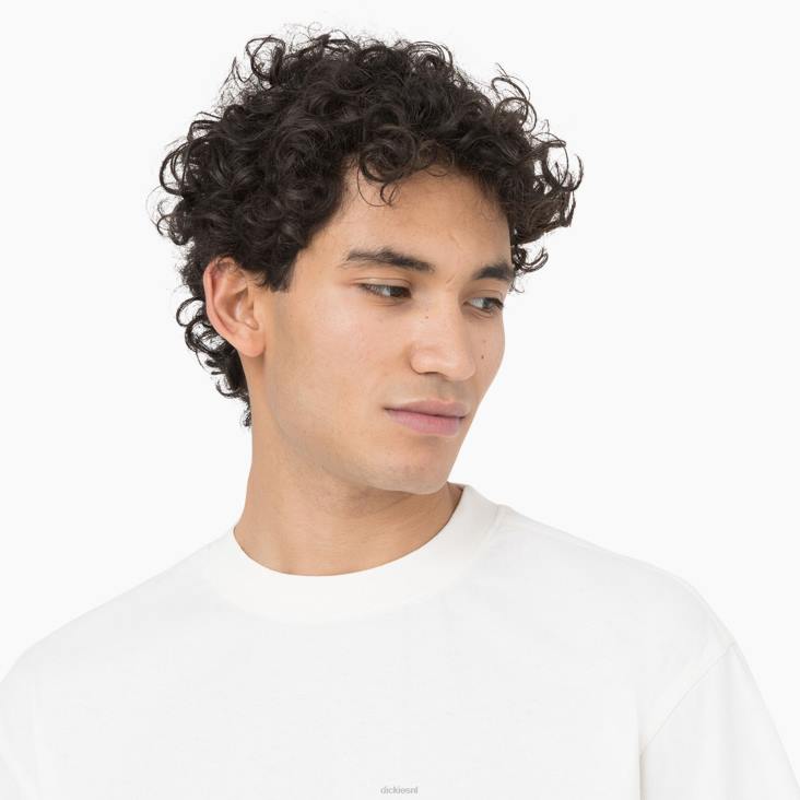 Heren Dickies Oatfield T-shirt met korte mouwen wolk (cl9) kleding 6F0X755