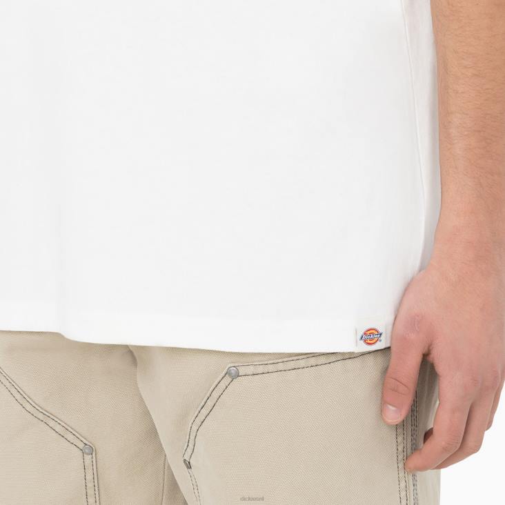 Heren Dickies Oatfield T-shirt met korte mouwen wolk (cl9) kleding 6F0X755