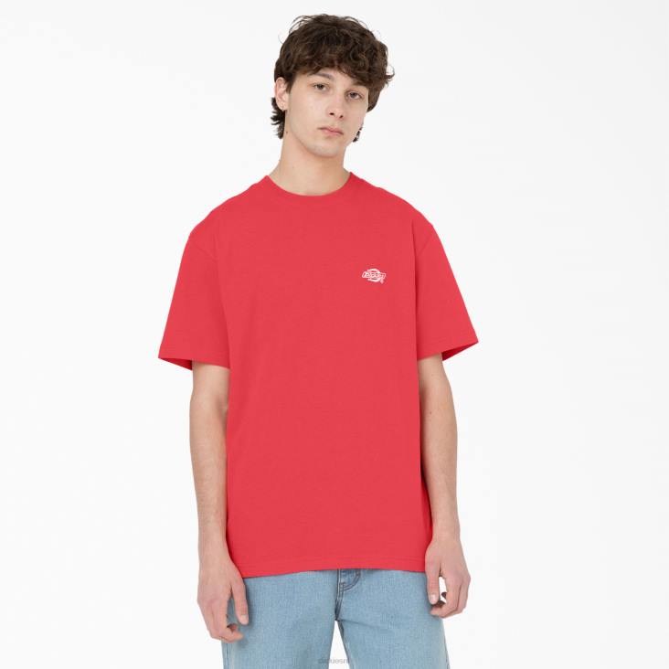 Heren Dickies Summerdale T-shirt met korte mouwen bitterzoet (bw2) kleding 6F0X580