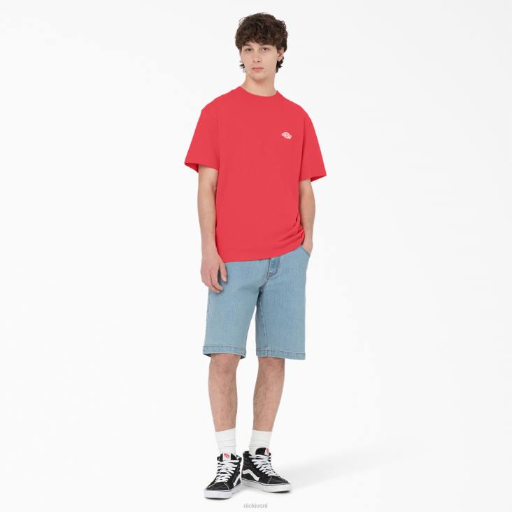 Heren Dickies Summerdale T-shirt met korte mouwen bitterzoet (bw2) kleding 6F0X580