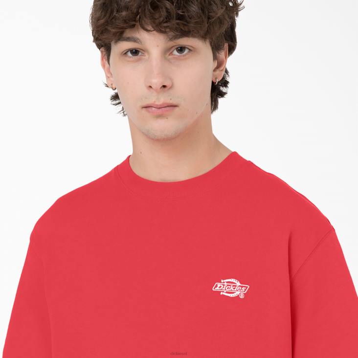 Heren Dickies Summerdale T-shirt met korte mouwen bitterzoet (bw2) kleding 6F0X580