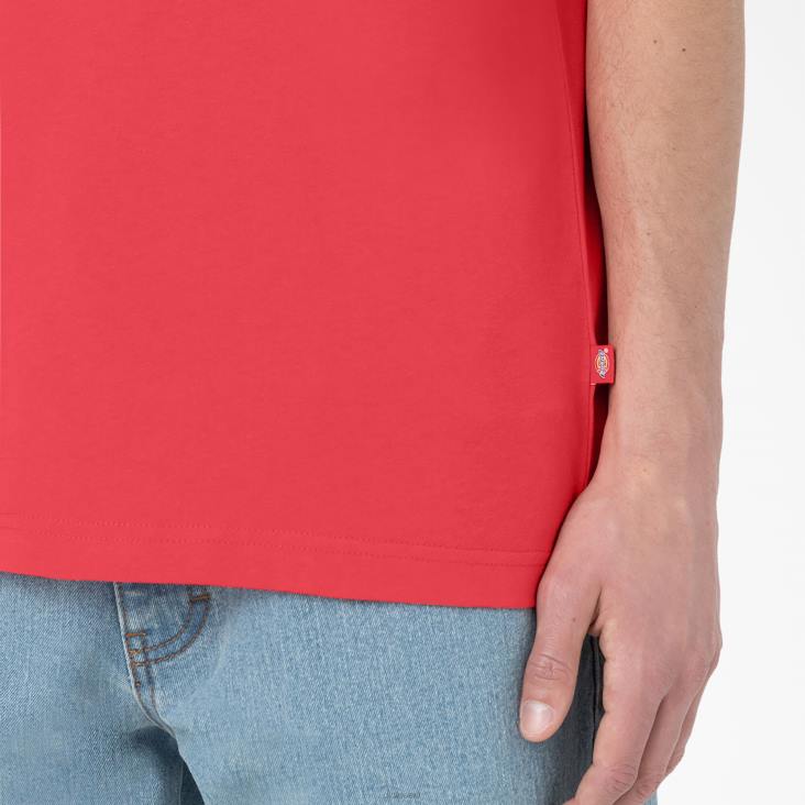 Heren Dickies Summerdale T-shirt met korte mouwen bitterzoet (bw2) kleding 6F0X580