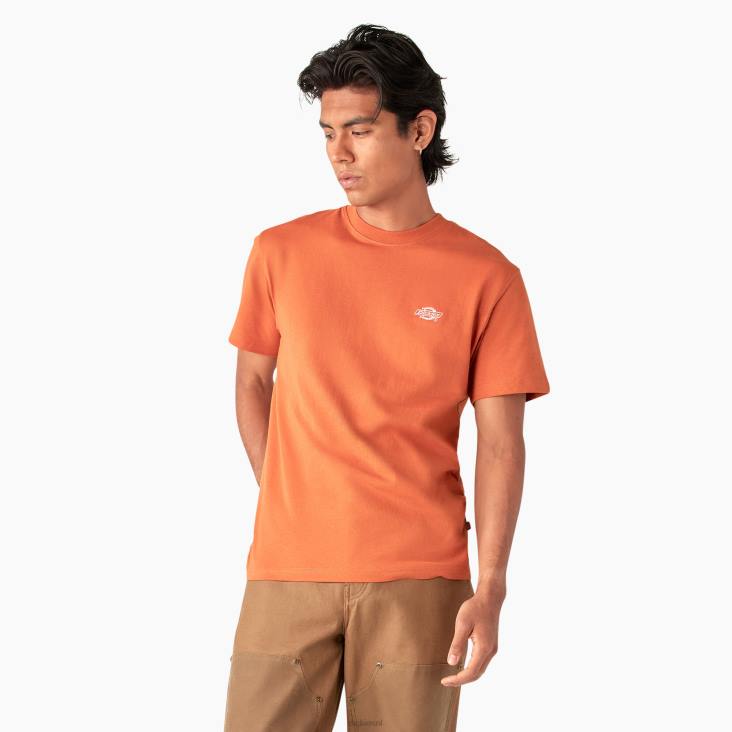 Heren Dickies Summerdale T-shirt met korte mouwen bombay bruin (b2b) kleding 6F0X581