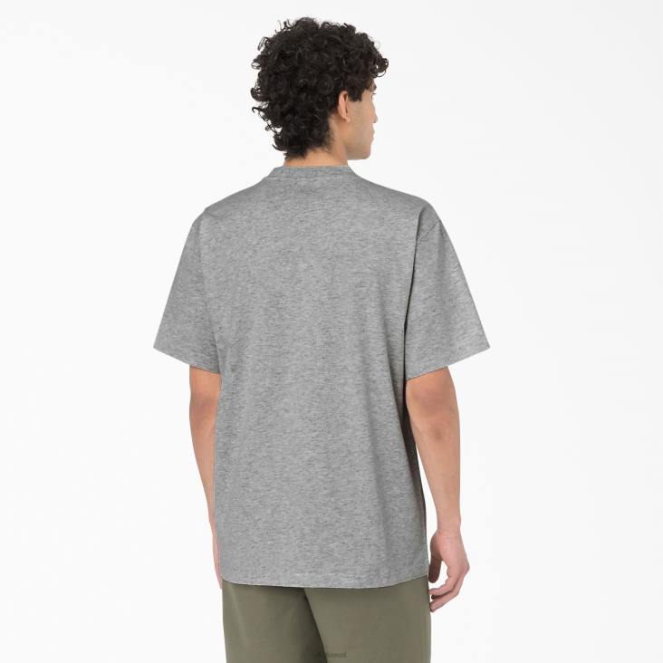 Heren Dickies Summerdale T-shirt met korte mouwen grijs gespikkeld (hg) kleding 6F0X582