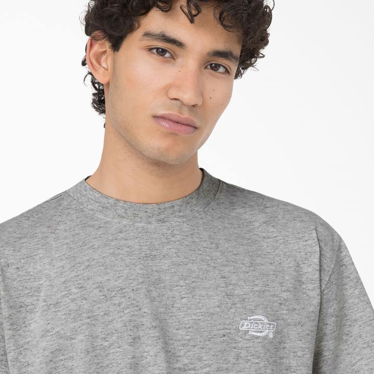 Heren Dickies Summerdale T-shirt met korte mouwen grijs gespikkeld (hg) kleding 6F0X582