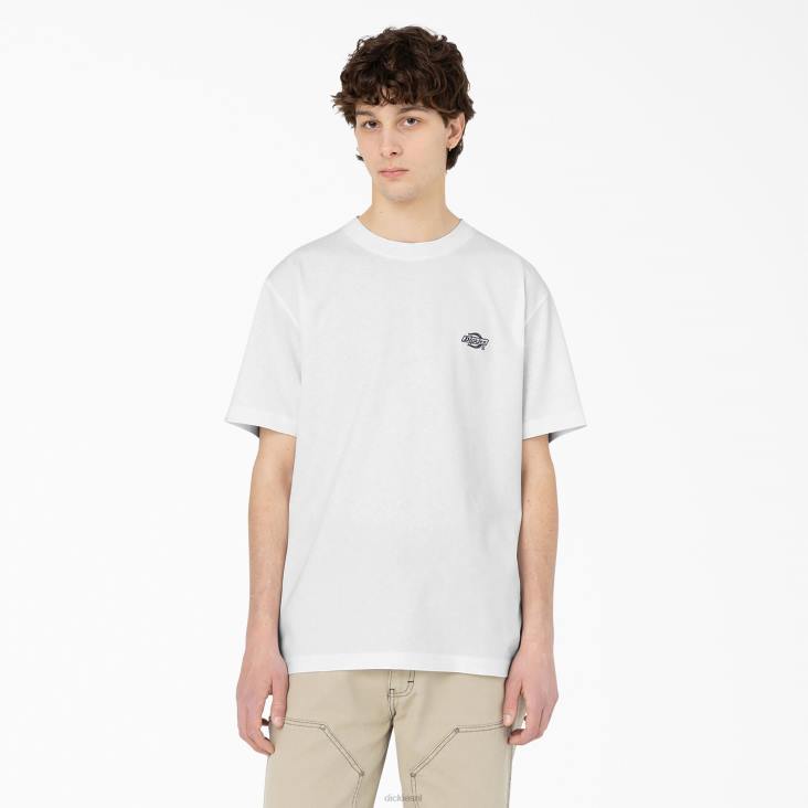 Heren Dickies Summerdale T-shirt met korte mouwen wit (wh) kleding 6F0X583