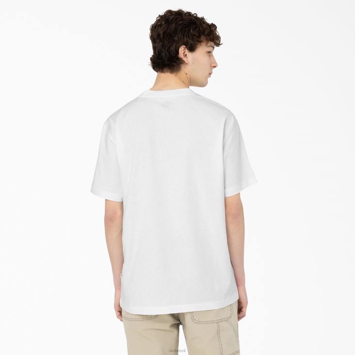 Heren Dickies Summerdale T-shirt met korte mouwen wit (wh) kleding 6F0X583