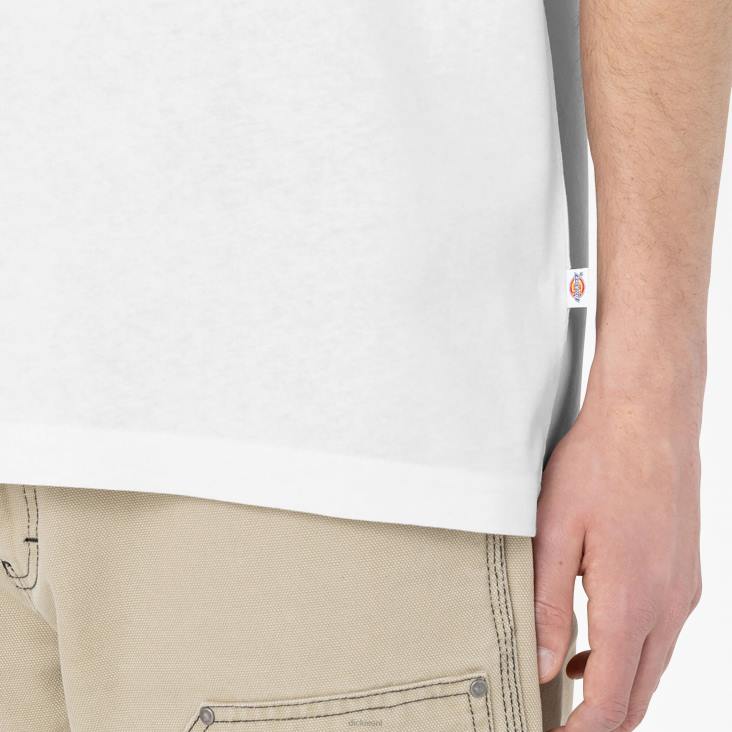 Heren Dickies Summerdale T-shirt met korte mouwen wit (wh) kleding 6F0X583