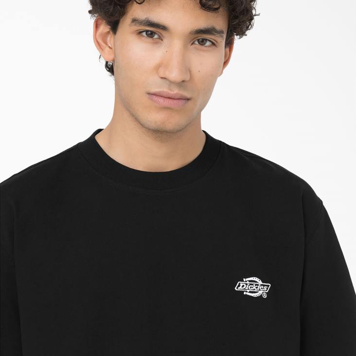 Heren Dickies Summerdale T-shirt met korte mouwen zwart (bkx) kleding 6F0X579