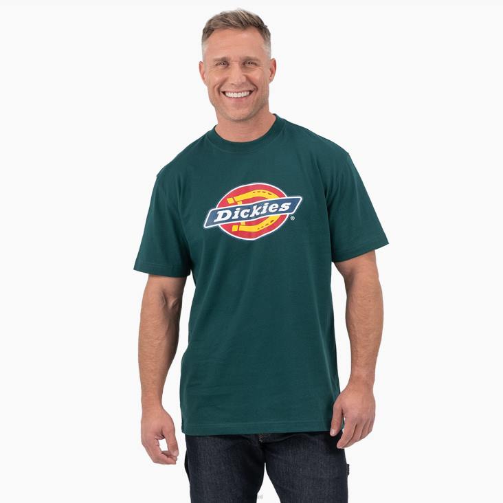 Heren Dickies T-shirt met driekleurig logo en korte mouwen bosgroen (ft) kleding 6F0X710
