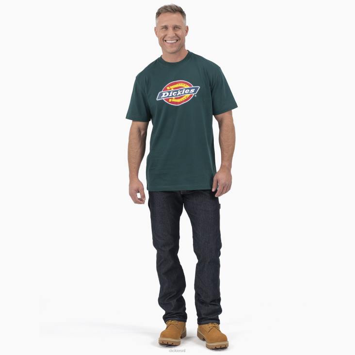 Heren Dickies T-shirt met driekleurig logo en korte mouwen bosgroen (ft) kleding 6F0X710