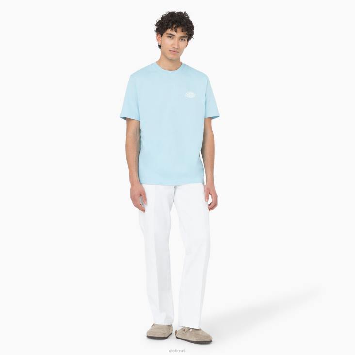 Heren Dickies T-shirt met logo op de achterkant hemelsblauw (su9) kleding 6F0X751