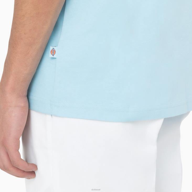 Heren Dickies T-shirt met logo op de achterkant hemelsblauw (su9) kleding 6F0X751