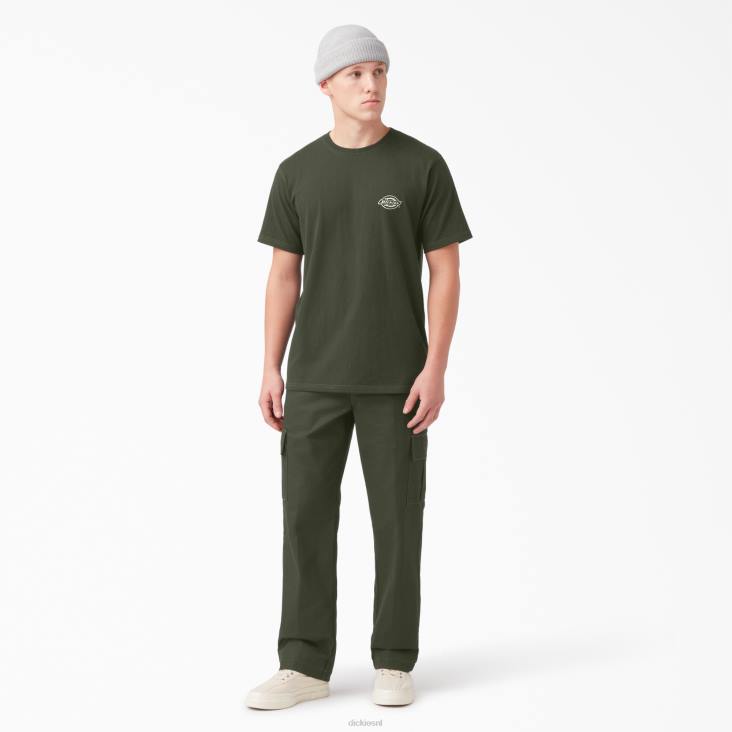 Heren Dickies T-shirt met logo op de achterkant olijfgroen (og) kleding 6F0X750