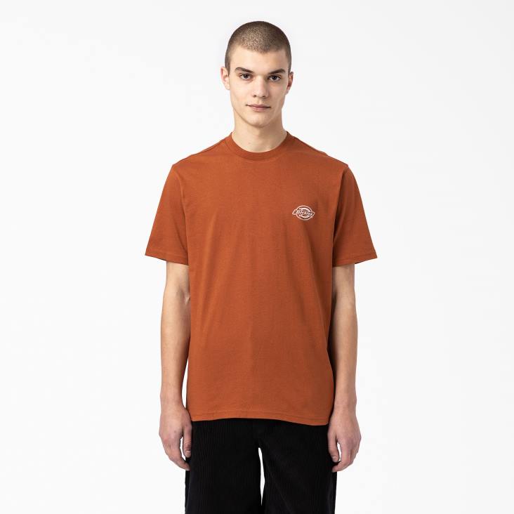 Heren Dickies T-shirt met logo op de achterkant peperkoek bruin (ie) kleding 6F0X748