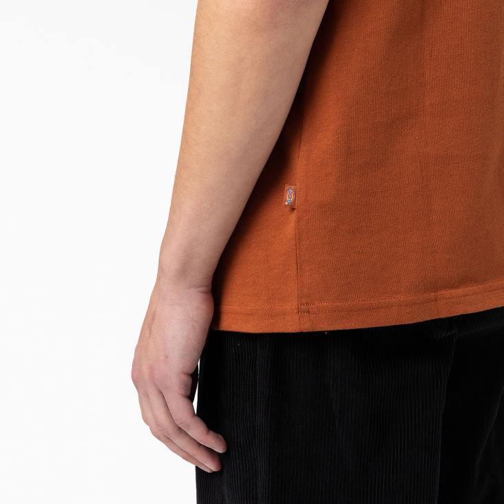 Heren Dickies T-shirt met logo op de achterkant peperkoek bruin (ie) kleding 6F0X748