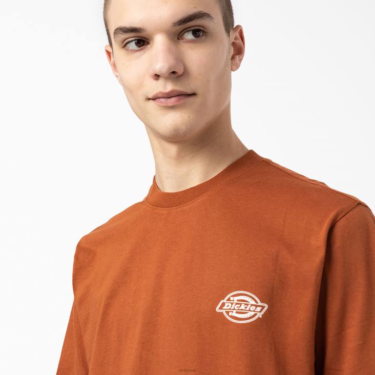 Heren Dickies T-shirt met logo op de achterkant peperkoek bruin (ie) kleding 6F0X748