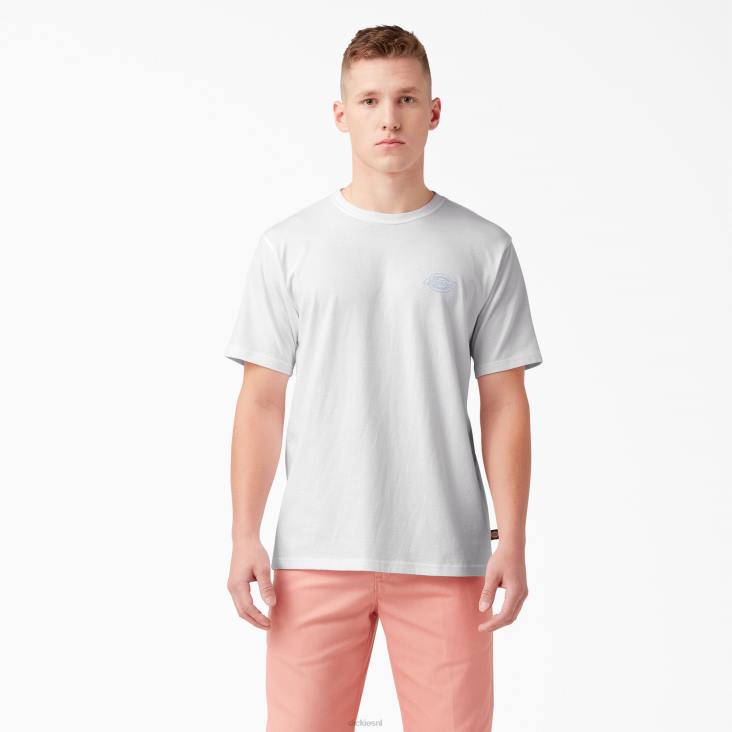 Heren Dickies T-shirt met logo op de achterkant wit (wh) kleding 6F0X752
