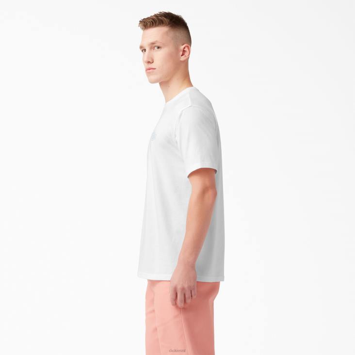 Heren Dickies T-shirt met logo op de achterkant wit (wh) kleding 6F0X752