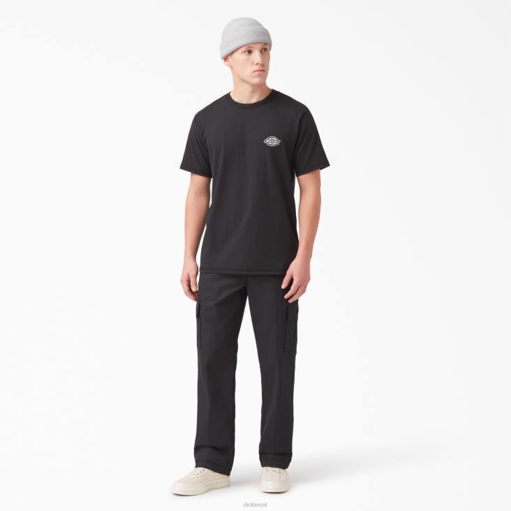 Heren Dickies T-shirt met logo op de achterkant zwart (kbk) kleding 6F0X749