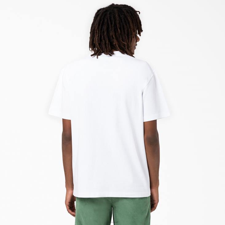 Heren Dickies Union Springs T-shirt met korte mouwen wit (wh) kleding 6F0X799