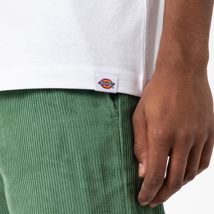 Heren Dickies Union Springs T-shirt met korte mouwen wit (wh) kleding 6F0X799