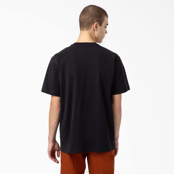 Heren Dickies Union Springs T-shirt met korte mouwen zwart (bk) kleding 6F0X797