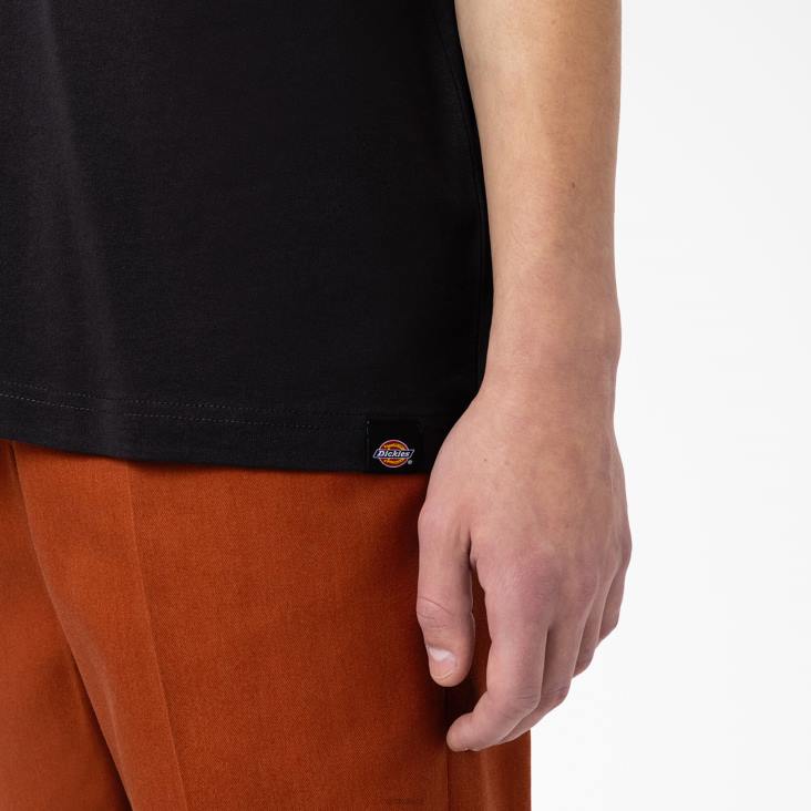 Heren Dickies Union Springs T-shirt met korte mouwen zwart (bk) kleding 6F0X797