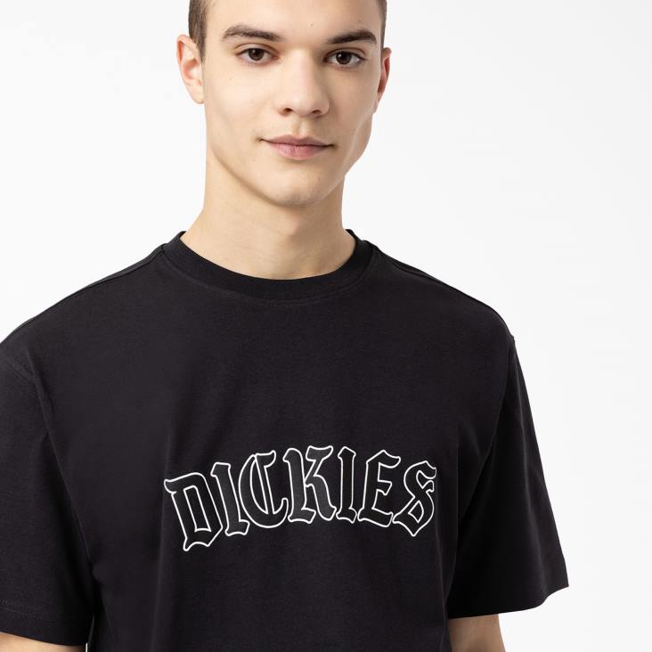 Heren Dickies Union Springs T-shirt met korte mouwen zwart (bk) kleding 6F0X797