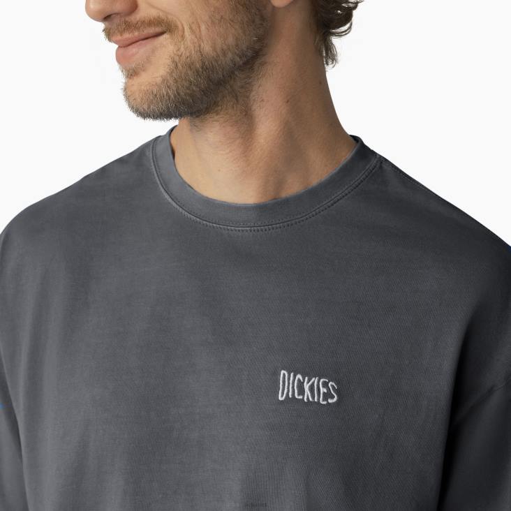 Heren Dickies bandon t-shirt met korte mouwen zwarte pigmentwas (bwg) kleding 6F0X789