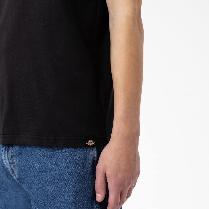 Heren Dickies camden box grafisch t-shirt zwart (bk) kleding 6F0X886