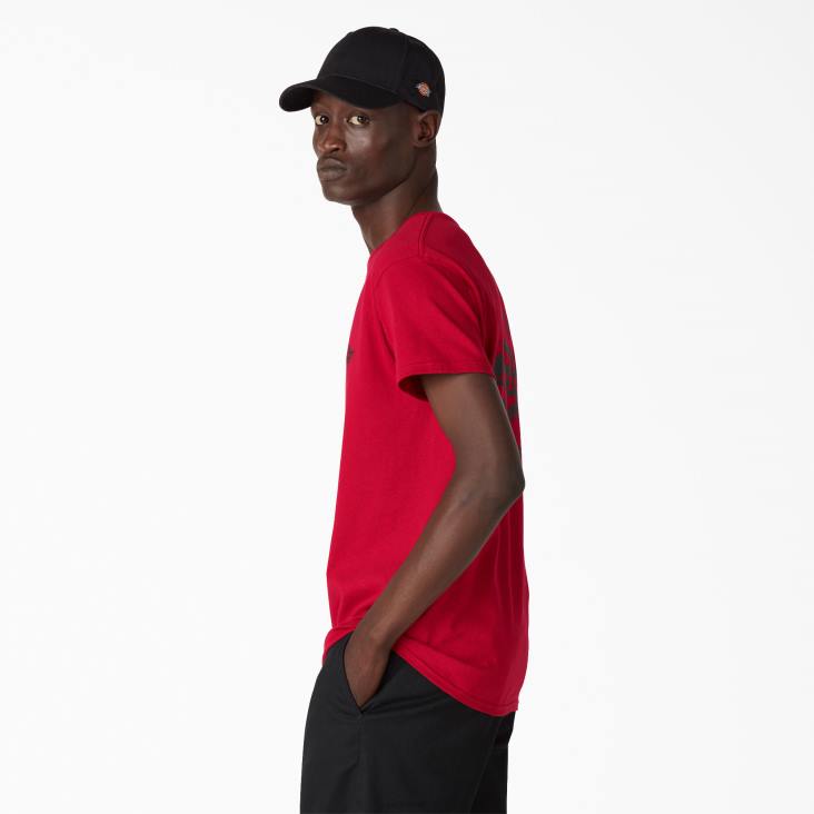 Heren Dickies erfgoed grafisch t-shirt kardinaal (ic) kleding 6F0X904