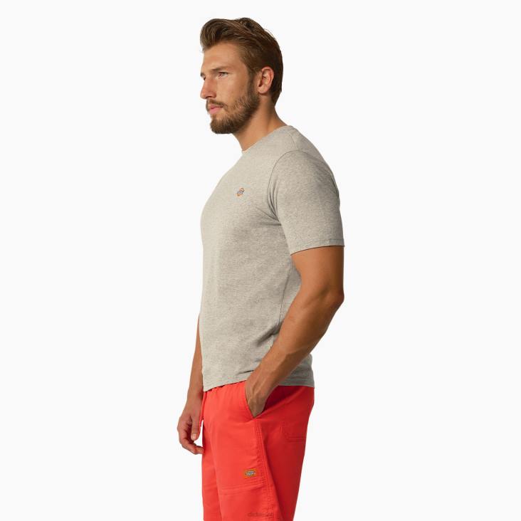 Heren Dickies esdoorn t-shirt met korte mouwen grijs gespikkeld (hg) kleding 6F0X819