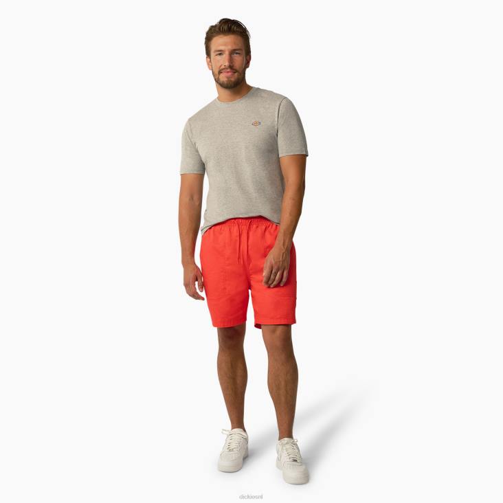 Heren Dickies esdoorn t-shirt met korte mouwen grijs gespikkeld (hg) kleding 6F0X819