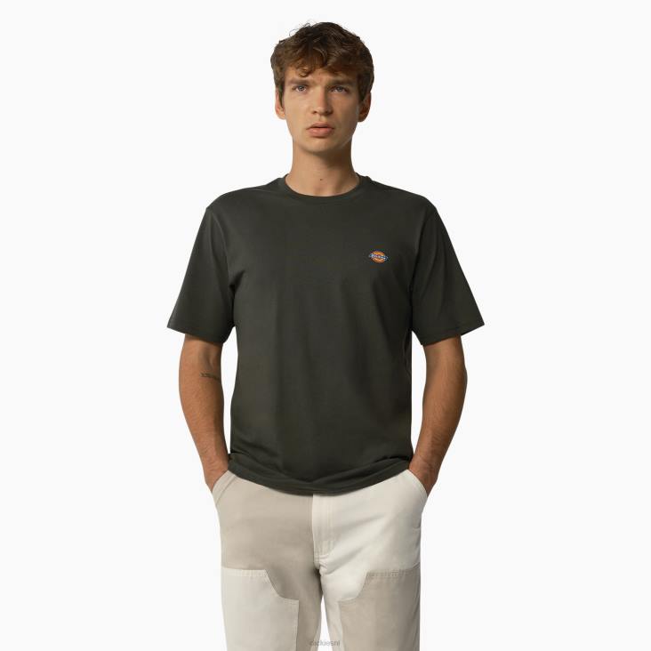 Heren Dickies esdoorn t-shirt met korte mouwen olijfgroen (og) kleding 6F0X822
