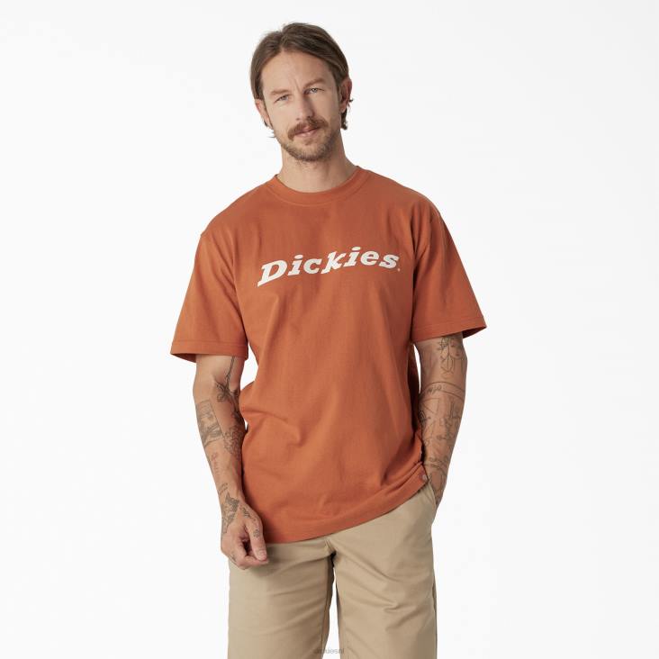 Heren Dickies grafisch T-shirt met korte mouwen en woordmerk koper (mede) kleding 6F0X811