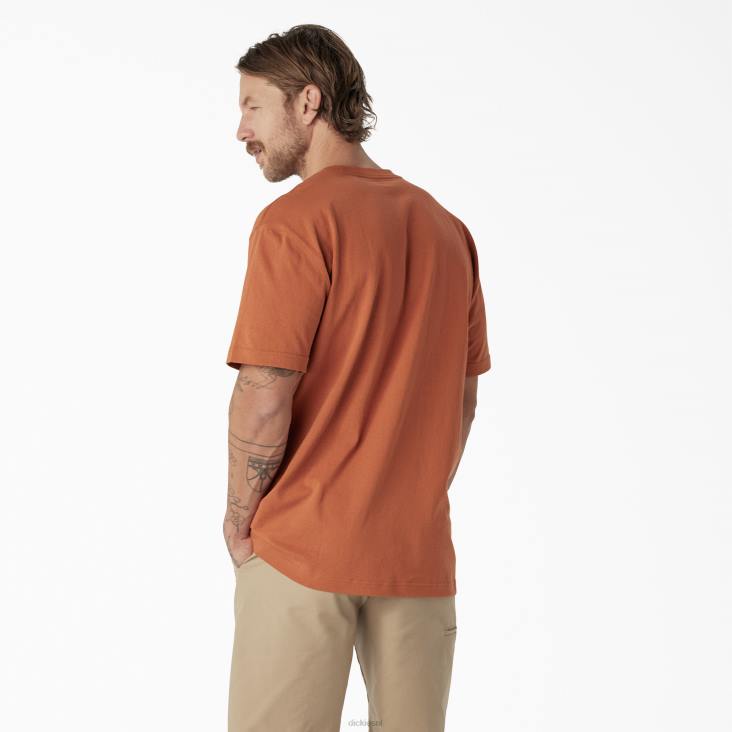 Heren Dickies grafisch T-shirt met korte mouwen en woordmerk koper (mede) kleding 6F0X811