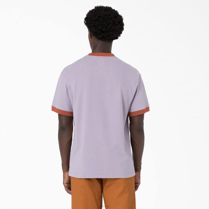 Heren Dickies hersendood geborduurd t-shirt paars (pr) kleding 6F0X759