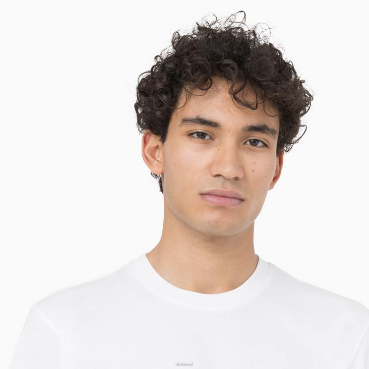 Heren Dickies leesburg T-shirt met korte mouwen wit (wh) kleding 6F0X878