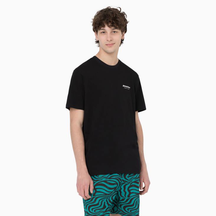 Heren Dickies leesburg T-shirt met korte mouwen zwart (bkx) kleding 6F0X876