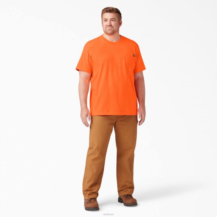 Heren Dickies neon zwaargewicht T-shirt met korte mouwen fel oranje (bod) kleding 6F0X570