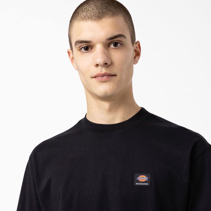 Heren Dickies skateboarden mount vista t-shirt zwart (bkx) kleding 6F0X929