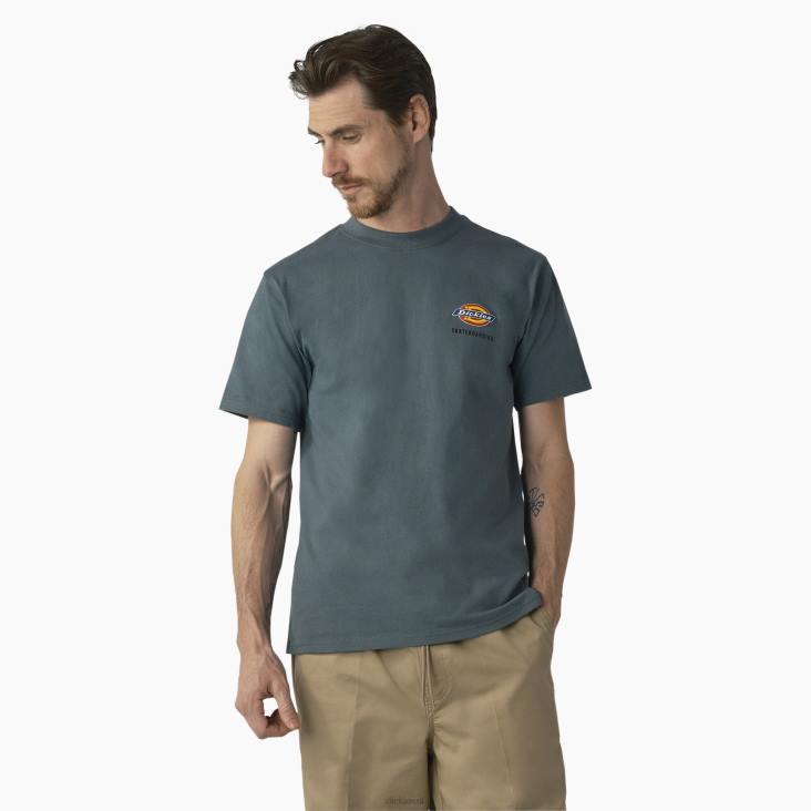 Heren Dickies skateboarden regular fit T-shirt met logo op de borst lincoln groen (ln) kleding 6F0X861