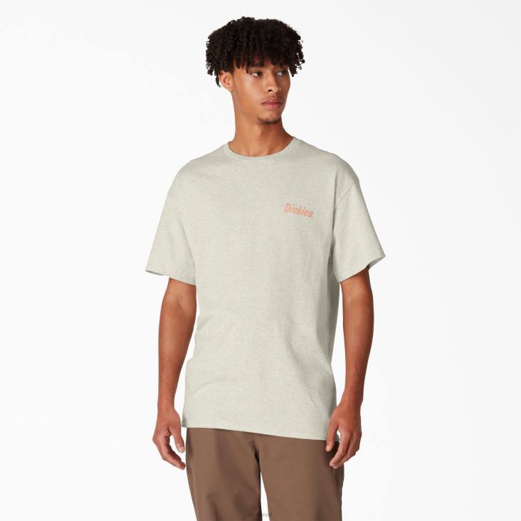 Heren Dickies skateboarden split grafisch t-shirt havermout heide (oa) kleding 6F0X852