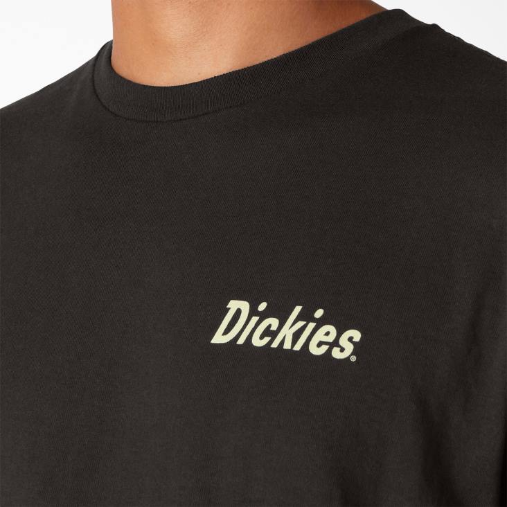 Heren Dickies skateboarden split grafisch t-shirt zwart (bk) kleding 6F0X851