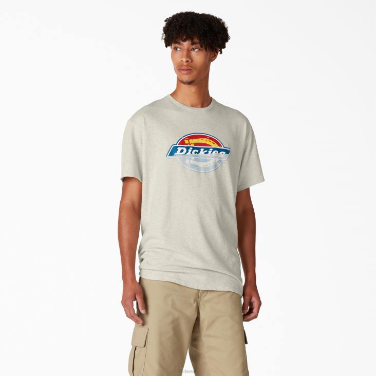 Heren Dickies skateboarden verontruste og grafische t-shirt havermout heide (oa) kleding 6F0X834